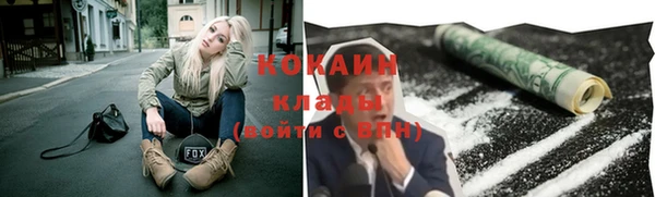 сатива Алзамай