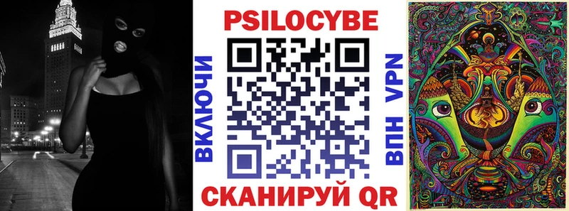 Псилоцибиновые грибы Psilocybine cubensis Конаково